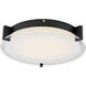 Matrix LED 11.8 inch Black Flush Mount Ceiling Light
