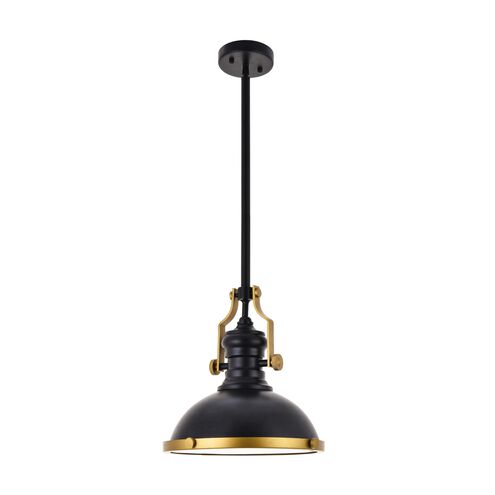 Eamon 1 Light 13 inch matte black Pendant Ceiling Light