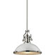 Chadwick 1 Light 17.00 inch Pendant