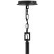 Fenwick 9 Light 42 inch Black Chandelier Ceiling Light