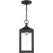 Nyack 1 Light 6 inch Black with Brushed Nickel Cluster Outdoor Pendant Lantern