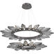 Rock Crystal LED Graphite Chandelier Ceiling Light, Radial Ring Two Tier