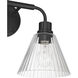 Pleated 2 Light 16.88 inch Flat Black Vanity Light Wall Light