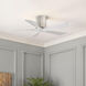 Atlas Irene-5H 42 inch Barn Wood Tone with Matte White Blades Flush Mount Paddle Fan