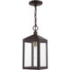 Nyack 1 Light 6.25 inch Bronze with Antique Brass Cluser Outdoor Pendant Lantern