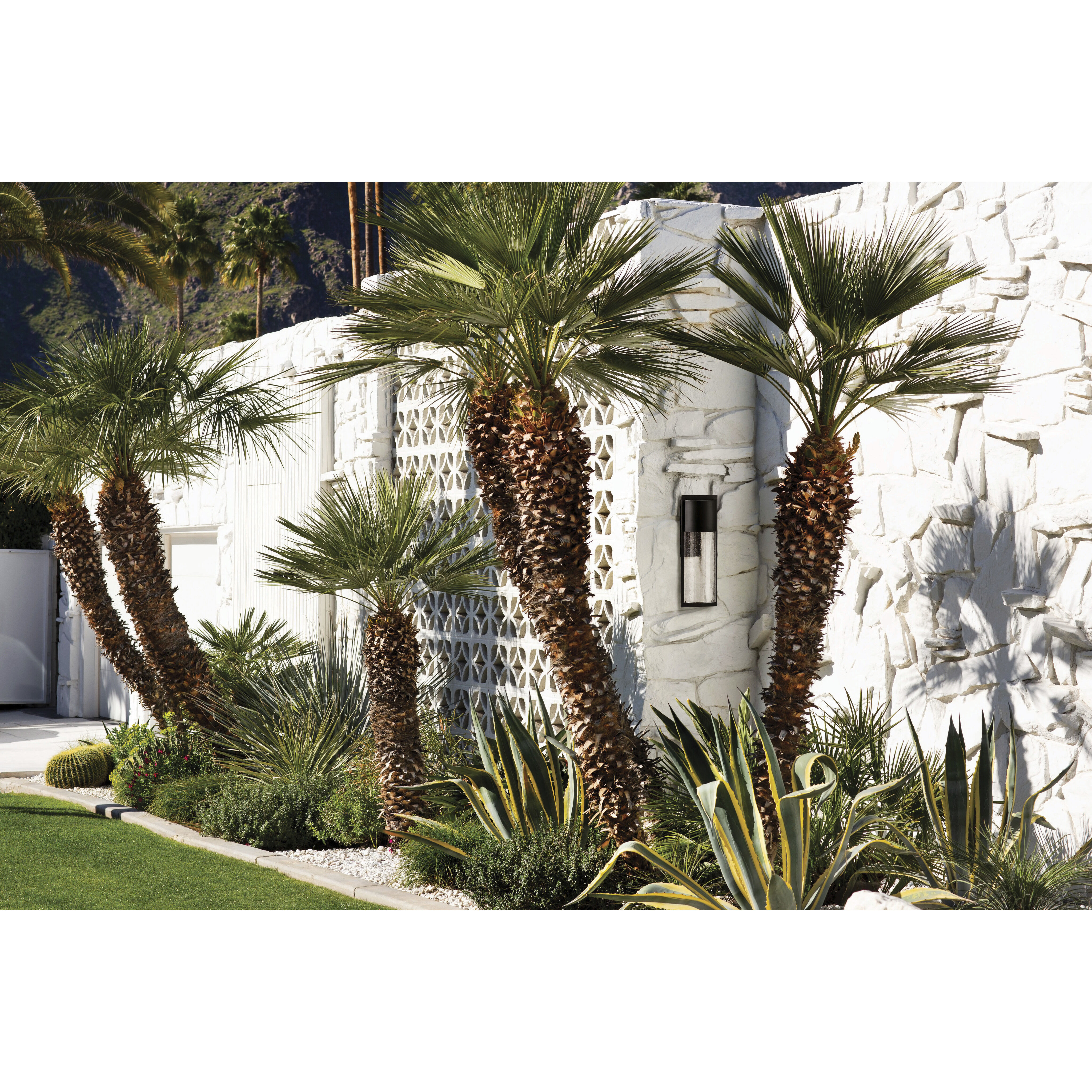 Shelter LED 23 inch Buckeye Bronze Outdoor Wall Mount Lantern, Large