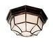 Benkert 1 Light 9 inch Black Copper Outdoor Flushmount Lantern
