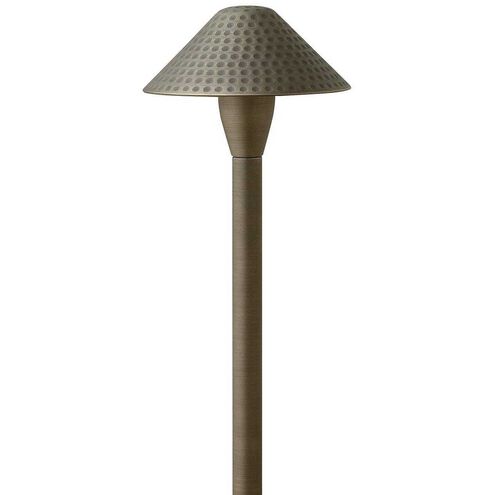 Hardy Island Hammered 12v 1.50 watt Matte Bronze Landscape Path Light