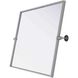 Amoura 30 X 24 inch Silver Mirror