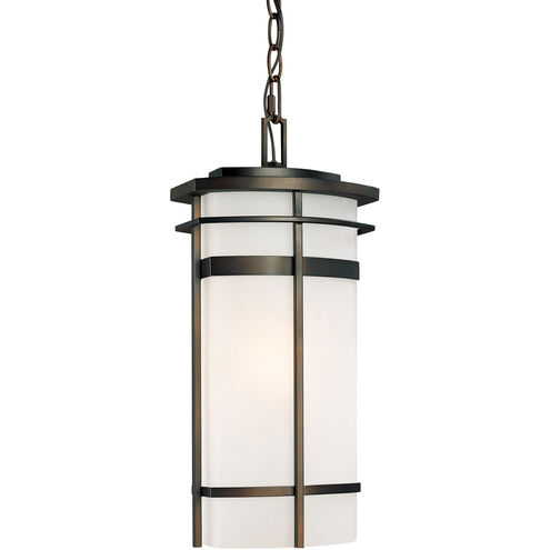 Lakeshore 1 Light 8 inch Old Bronze Outdoor Hanging Lantern