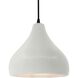 Radiance LED 11.5 inch Matte White and Matte Black Pendant Ceiling Light