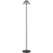 Waterford Blaze 54.75 inch 7.00 watt Bronze Floor Lamp Portable Light