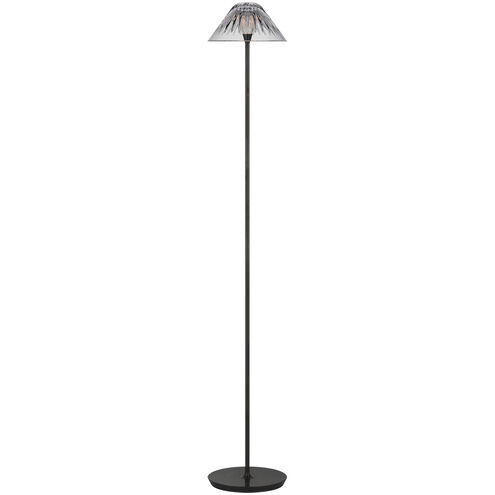 Waterford Blaze 54.75 inch 7.00 watt Bronze Floor Lamp Portable Light