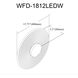 Windfeild LED 18 inch Matte Black Wallchiere Wall Light in White