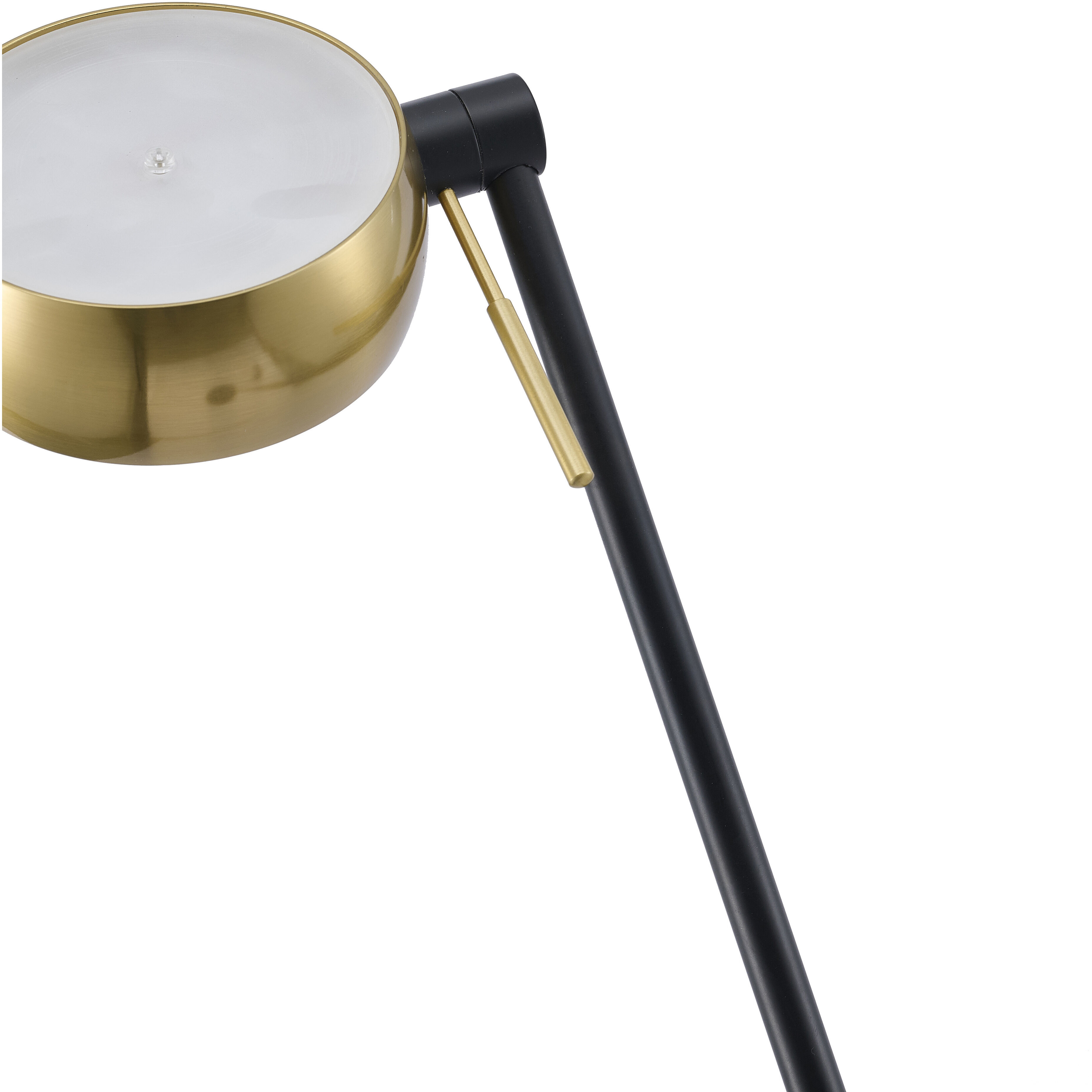 Canada 63 inch 11 watt Black & Stain Brass Floor Lamp Portable Light