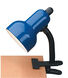 Clip-On 12 inch 60.00 watt Black Desk Lamp Portable Light