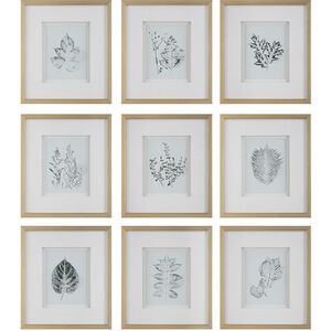 Nature's Script 17.25 X 15.25 inch Framed Botanical Prints, Set of 9