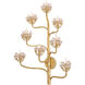 Agave Americana 8 Light 24.75 inch Dark Contemporary Gold Leaf Wall Sconce Wall Light, Marjorie Skouras Collection