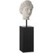Venus Head on Stand 9 X 3.5 inch Sculptures, Set of 2