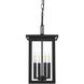 Sheridan 4 Light 9 inch Black Outdoor Pendant