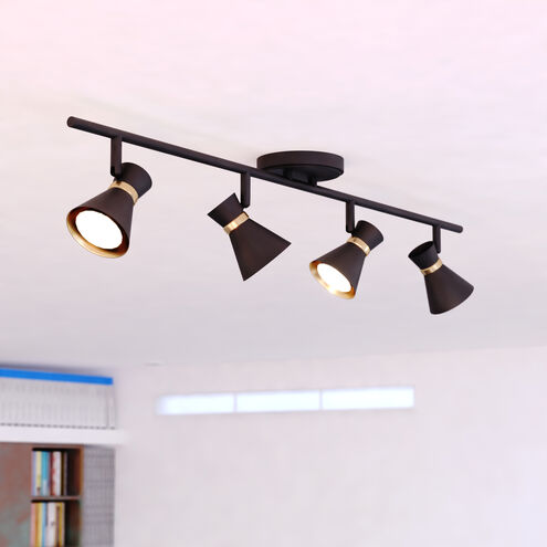 Alto 4 Light 120 Matte Black and Satin Brass Directional Light Ceiling Light