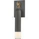 Osprey 1 Light 17.25 inch Patina Brass and Graphite Outdoor Wall Sconce