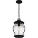 Luther 1 Light 9 inch Earth Black Outdoor Hanging Lantern, Large