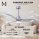 Atlas Alessandra-LK 42 inch Brushed Nickel with Barn Wood Blades Indoor/Outdoor Ceiling Fan