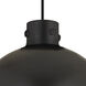 Newton Sphere 1 Light 16 inch Matte Black Pendant Ceiling Light