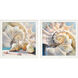 Shells Collection White and Beige and Turquoise Framed Art