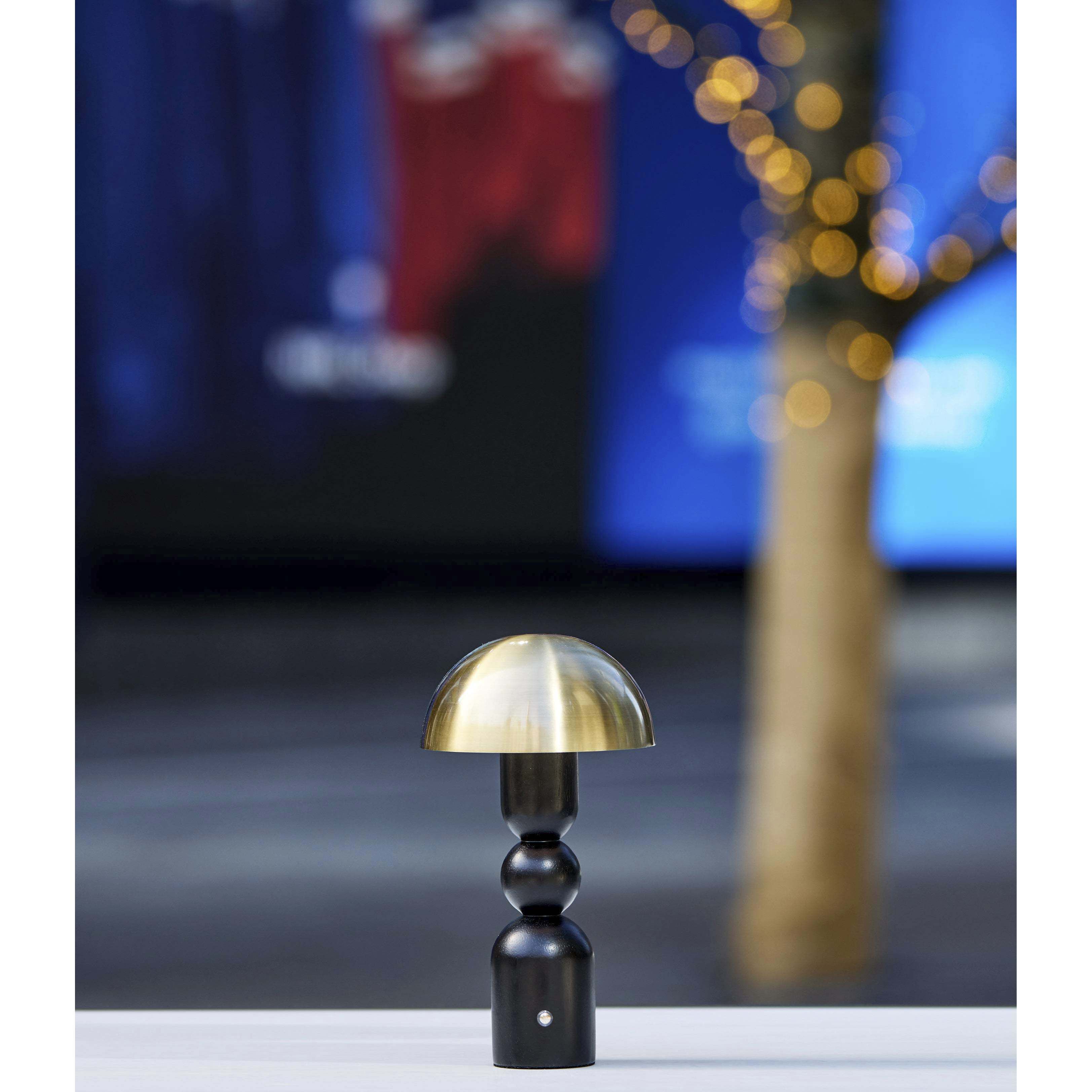 Connie 10.75 inch 2.00 watt Black and Antique Brass Cordless Table Lamp Portable Light