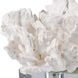Flower Coral 8 X 4.5 inch Sculpture, Crystal Base
