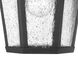Estate Series Edgewater LED 12 inch Black Outdoor Wall Mount Lantern, Medium