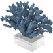Expansive Blue Décor