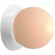 Ambiance LED 4.5 inch Gloss White Wall Sconce Wall Light