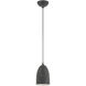 Arlington 1 Light 6 inch Scandinavian Gray with Brushed Nickel Accents Pendant Ceiling Light