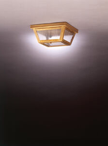 Hunter 1 Light 9 inch Antique Brass Flush Mount Ceiling Light in Clear Seedy Glass