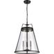 Judy 3 Light 16 inch Matte Black Pendant Ceiling Light