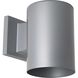Cylinder Outdoor Wall Cylinder in Metallic Grey, Standard Lamping
