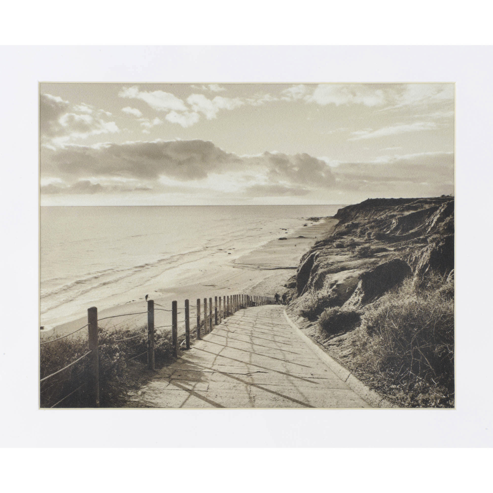 Torreys Matte White and White Oak Wall Art, Set of 4