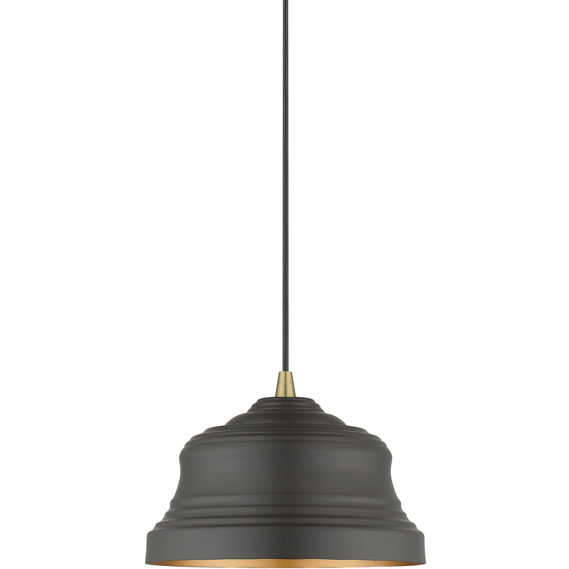 Endicott 1 Light 10 inch Bronze with Antique Brass Finish Accents Pendant Ceiling Light in Bronze with Antique Brass Accent