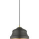 Endicott 1 Light 10 inch Bronze with Antique Brass Finish Accents Pendant Ceiling Light in Bronze with Antique Brass Accent