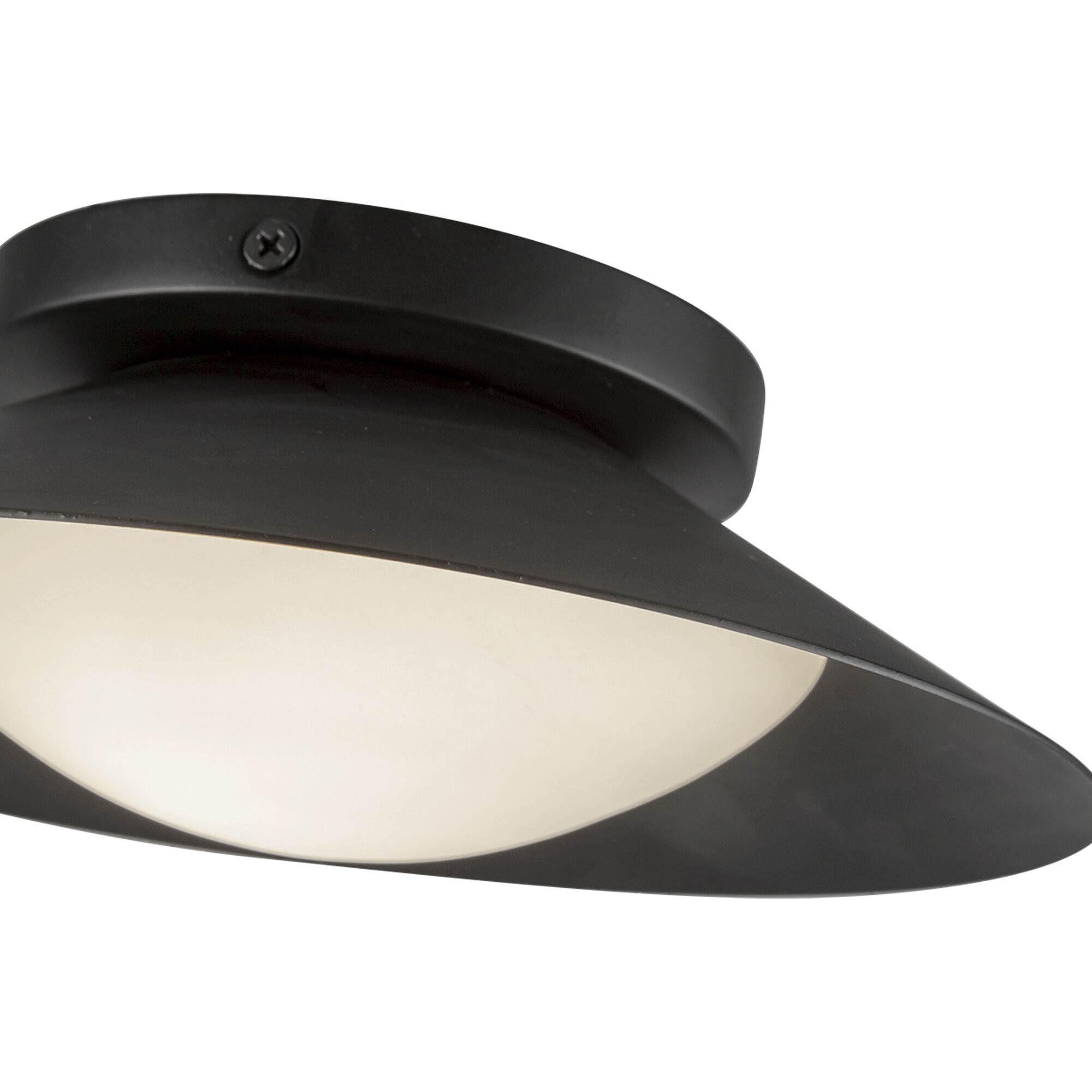 Cleo Wall Sconce Wall Light in Black