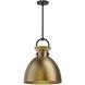Alora Mood Waldo 1 Light 14 inch Matte Black and Aged Gold Pendant Ceiling Light