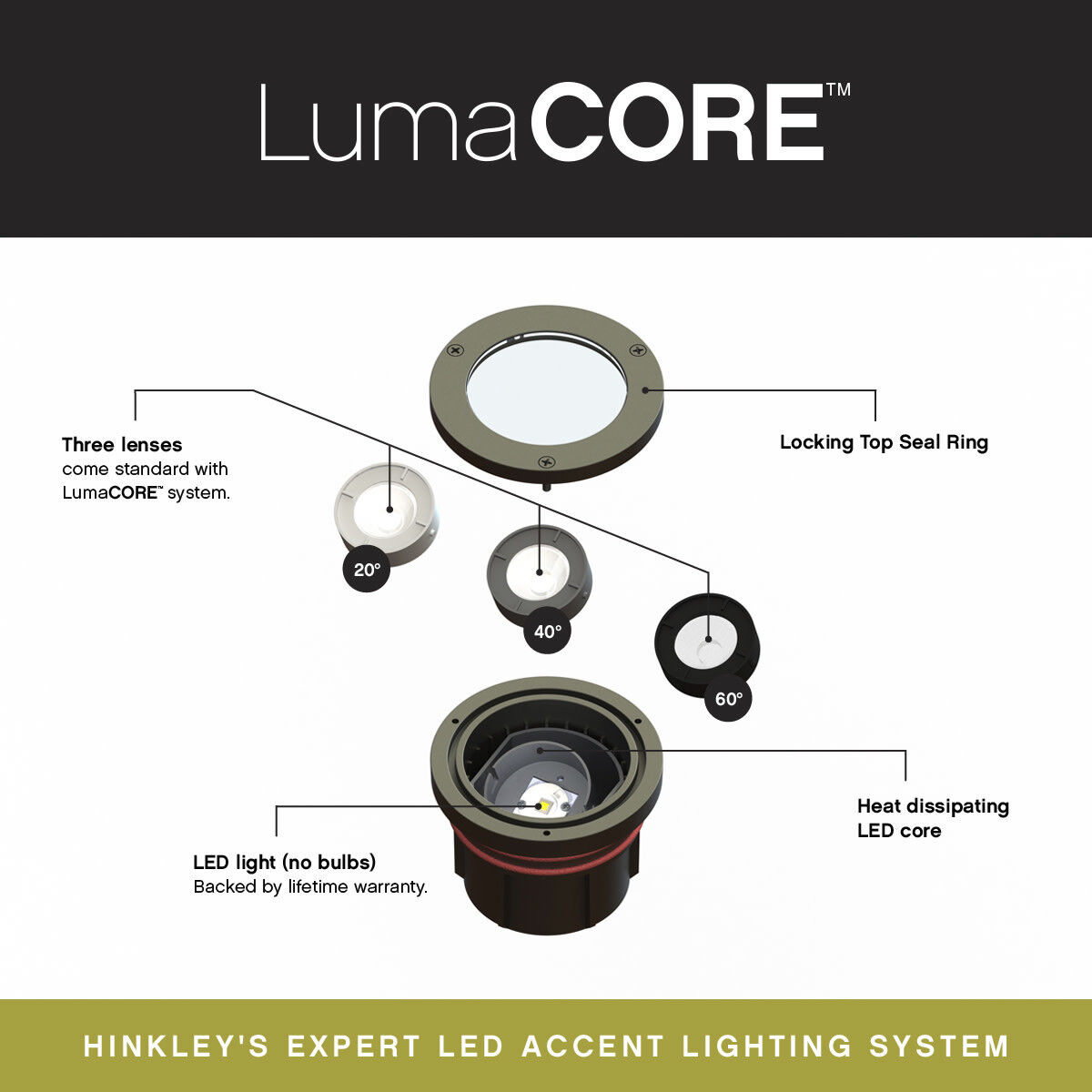 Hardy Island Shielded 12v 12.00 watt Bronze Landscape Well Light in 2700K, Variable Output