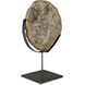 Wood Fossil Matte Black Decorative Object