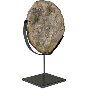Wood Fossil Matte Black Decorative Object