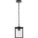 Dover 1 Light 7 inch Black Outdoor Pendant