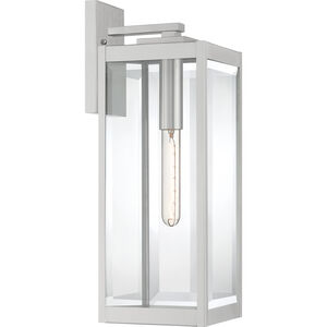 Westover 1 Light 20 inch Stainless Steel Outdoor Wall Lantern