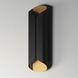 Folio LED 20 inch Black with Gold Outdoor Wall Mount